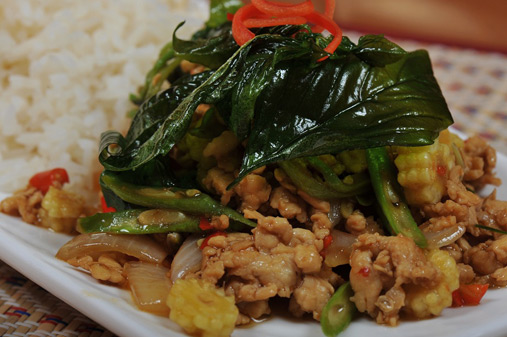 Chicken with Basil 507x337
